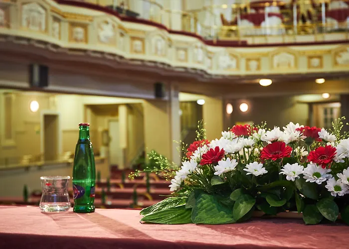 Ambassador Zlata Husa Praga